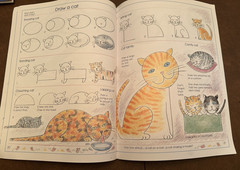 Usborne Drawing Bundle – Step by Step Drawing People Animals What Shall I Draw
