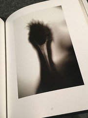 Creatures by Henry Horenstein (1999, Hardcover, Deluxe). Signed by the author.