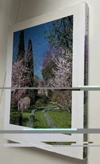 NINFA: THE MOST ROMANTIC GARDEN IN THE WORLD By Charles Quest-ritson – Hardcover