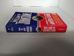 From the Ashes America Reborn by William W Johnstone Complete Guide Ashes Series