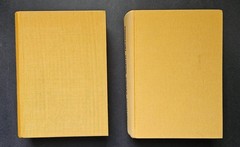 Słownik Angielsko-Polski /English-Polish Dictionary 2 Book Set