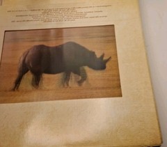 Safari: A Photicular Book
