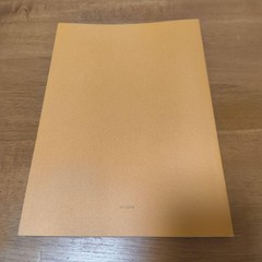 JIL SANDER Catalog Mario Sorrenti Japan 2019 Photography 21x15cm Used