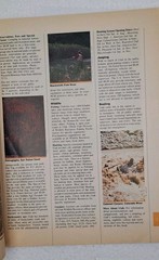 Vintage 1987 Tour Guide Souvenir UTAH 83 pages Illustrated