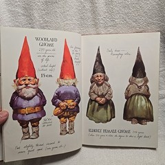 GNOMES Book By Wil Huygen & Illustrated Rien Poortvliet (1977 H.N Abrams Inc. HC