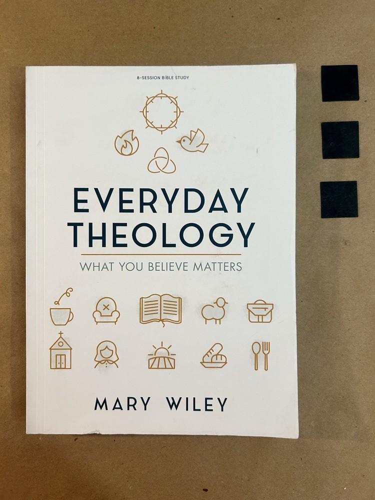 Everyday Theology – Bible Study Book : What You Believe Matters by Mary Wiley…