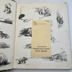 Album of Prehistoric Animals by Tom McGowen (1975) Vintage, Dinosaurs, Education