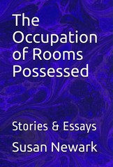 Susan Newark THE OCCUPATION OF ROOMS POSSESSED Anthology Stories & Essays NEW