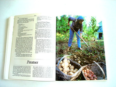 The Victory Garden Cookbook Paperback Marian Morash
