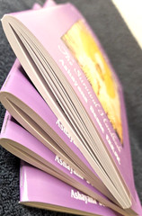 Angelic Realities The Survival Handbook By Ashayana Deane Ekr MC Booklet GET IT!