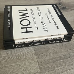 Allen Ginsberg Lot – Howl + Reality Sandwiches + Fall Of America
