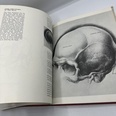 Drawing the Human Head Burne Hogarth 300 Illustration Hardcover Dust Jacket ‘77