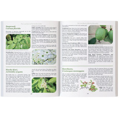 The Lost Book of Herbal Remedies-Paperback with Color Pictures