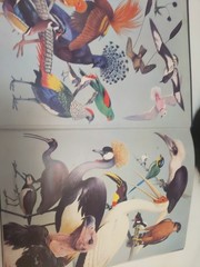 World of Birds James Fisher Roger Tory Peterson Vintage Bird book Hardcover