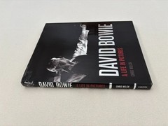 David Bowie : A Life in Pictures by Chris Welch (2013, Hardcover) – NEW
