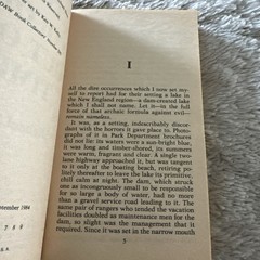The Color Out of Time by Michael Shea – DAW Books First Printing Paperback 1984
