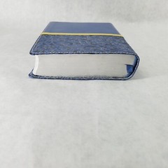 Women’s Devotional Bible by Zondervan Staff (2012, Blue Leather, Special)