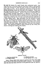1915 Gardening Made Easy 198 Pages