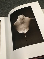 Creatures by Henry Horenstein (1999, Hardcover, Deluxe). Signed by the author.