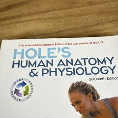 ISE Hole’s Human Anatomy & Physiology 16th Edition Paperback Acceptable
