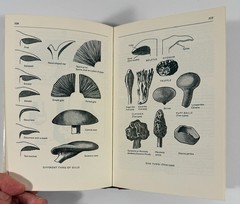 1961 Mushrooms Toadstools in Colour Blandford First Edition Dust Jacket Hvass