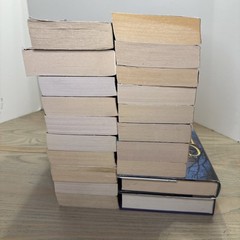 Mixed Lot 21 Christine Feehan Books Novels Carpathian Drake Sea Haven Shadow Rid