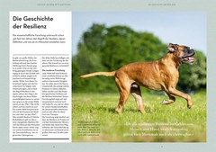 Vanessa Engelst Resilienz bei Hunden: Hunde im Inneren s (Paperback) (UK IMPORT)