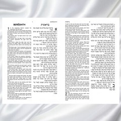 HalleluYah Scriptures Parallel Hebrew/English Bible & Extra Books
