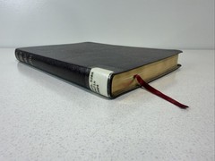 Holy Bible Tyndale Slimline Reference Edition ~ 2004 Bonded Leather Burgundy NLT
