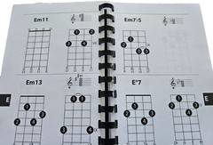 2004 MANDOLIN CHORDS Gig Bag Series 1100+ CHORD DIAGRAMS Music BLUEGRASS Amsco