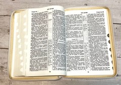 Библия Russian Bible large print Большой формат БЕЛЫЙ переплет индексы молния