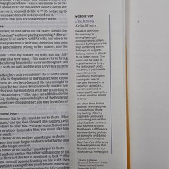 LIKE NEW | CSB Lifeway Women’s Bible | Marigold LeatherTouch | Devotional Study