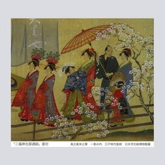 Picture Book of Cherry Blossoms SAKURA Namiki Seishi SEIGENSHA