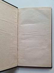 Alexander Campbell Christian Preacher’s Companion, 1891 Centreville KY Imprint
