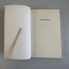 Common Sense Intelligence on TV Lisa Holderman 2008 Nonfiction Lexington Books