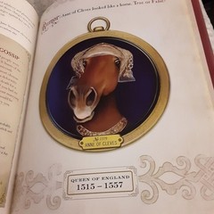 The Raucous Royals Test Your Royal WIts hardcover Carlyn Beccia 2008