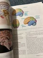 Hole’s Human Anatomy and Physiology 15th Edition David Shier