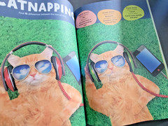 Highlights Hidden Pictures -Funniest Special Edition Ever! – 710+ Hidden Objects
