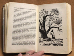 GOING on SIXTEEN by Betty Cavanna – The Westminster Press 1946 HCDJ