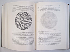 Malattie Infettive Dell’uomo E Degli Animali by Alessandro Lustig (Vol. I-II)