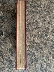 HUMAN DESTINY ✨ 1947 1st Edition by Lecomte Du Nouy 🔑 Hardcover! 🔥ON SALE! 🔥
