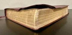 The Student Bible NIV Zondervan (1996, Bonded Leather)