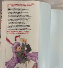 Touhou Illustration Techniques Art Book Japanese Manga Anime Drawing Guide