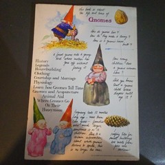 Gnomes By Wil Huygen & Rien Poortvliet 1979 Paperback Illustrated