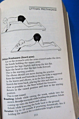 Asana Pranayama Mudra Bandha by Swami Satyananda Saraswati PB 2009