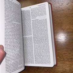 ESV Large Print Value Thinline Bible (Trutone, Camel) by Esv Bibles: New