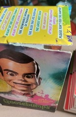 HUGE Goosebumps Collection Lot (44 Books) – 2 Box Sets, SlappyWorld, Originals