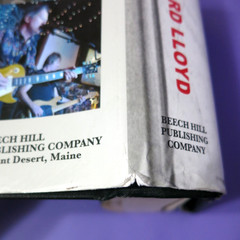 Everything Is Combustible by Richard Lloyd 1st Edition Hardcover DJ RARE! OOP!