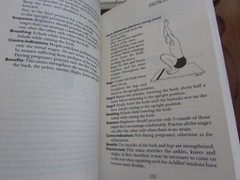 Asana Pranayama Mudra Bandha by Satyananda Saraswati (2013 Golden Jubilee Ed)