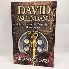 David Ascendant Chronicles of the Nephilim Book Seven Godawa, Brian